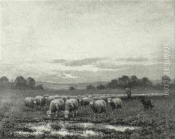 Shepherd With Flock At Twilight - view 1