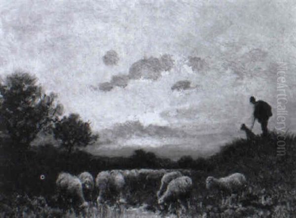 Schafer Mit Hund Und Herde Bei Sonnenuntergangsstimmung - view 1