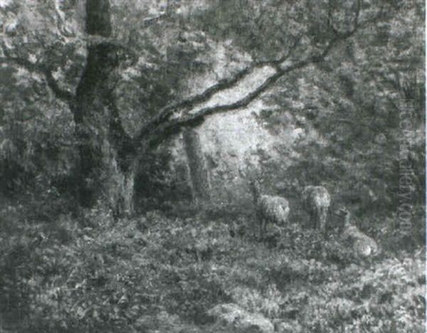 Deer In The Woods - view 1