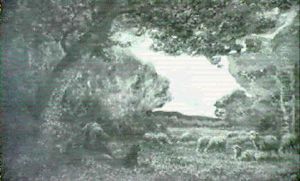 Scene Pastorale Sous Les Arbres Scene Pastorale Sous Les Arbres