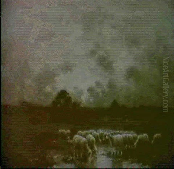 Les Moutons Au Crepuscule - view 1