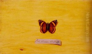A Brown Butterfly by Jefferson David Chalfant