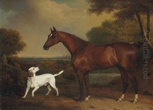 Cheval Alezan Et Chien De Chasse Dans Un Paysage Cheval Alezan Et Chien De Chasse Dans Un Paysage