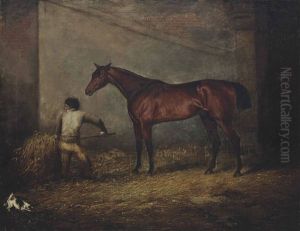 The Thoroughbred Eaton In His Stable With His Groom