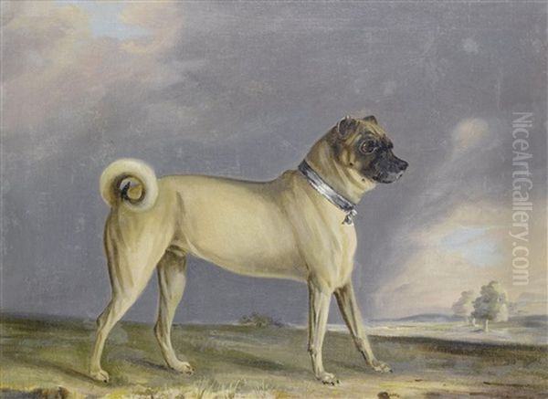 A Favourite Pug Bitch (+ A Pug Dog; Pair) - view 1