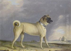 A Favourite Pug Bitch (+ A Pug Dog; Pair)
