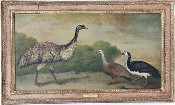 Fowl In Landscape - view 1