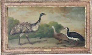 Fowl In Landscape