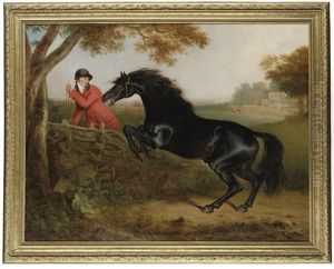 A Dark Bay Hunter Jumping A Fence, With A Huntsman, In The Grounds Of Spye Park, Wiltshire