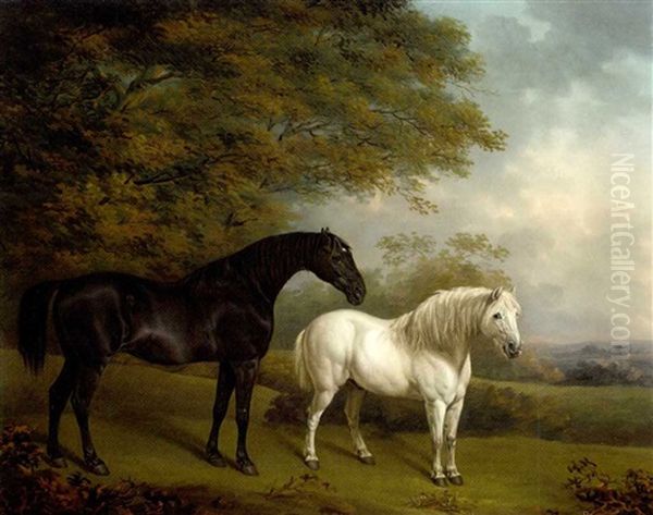 A Black Hunter And A Grey Pony In A Wooded Landscape - view 1