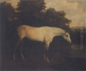 A Grey Hunter In A River Landscape (+ A Bay Hunter With A Groom In A Loose Box: Pair) A Grey Hunter In A River Landscape (+ A Bay Hunter With A Groom In A Loose Box: Pair)