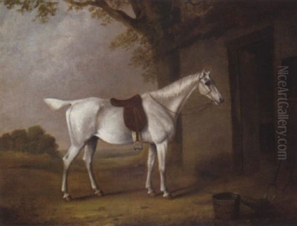 A Grey Hunter Before A Stable - view 1