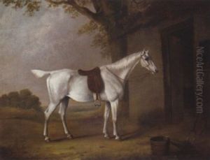 A Grey Hunter Before A Stable