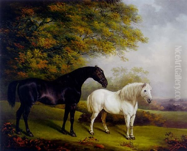 A Dark Bay Hunter And A Grey Pony In A Landscape - view 1
