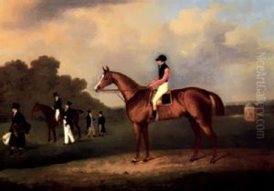 "the Colonel" With Jockey Up