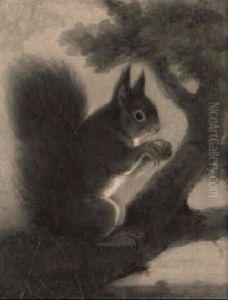A Red Squirrel On A Branch