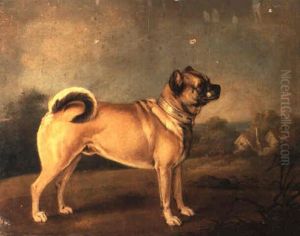 A Favourite Pug by Henry Bernard Chalon