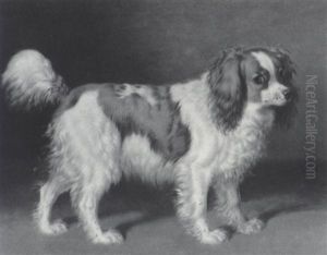 A King Charles Spaniel by Henry Bernard Chalon