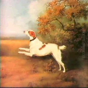 A Springer Spaniel In A Lan- Dscape