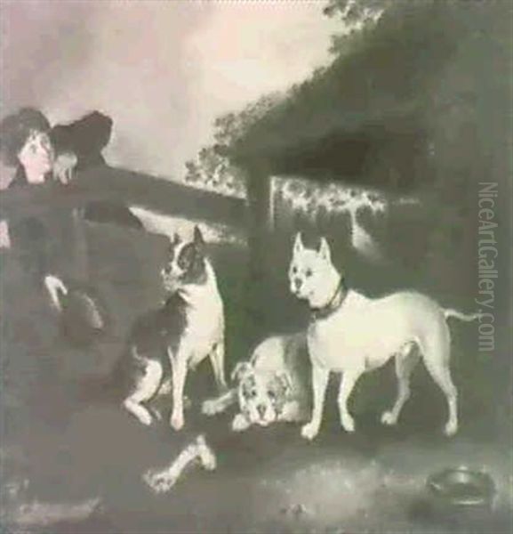 Wasp, Child And Billy - view 1