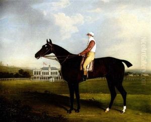 "starch" A Bay Racehorse With Jockey Up, The Racecourse And Grandstand Beyond