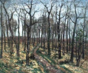 Le Chemin Rose A Travers Les Arbres Le Chemin Rose A Travers Les Arbres