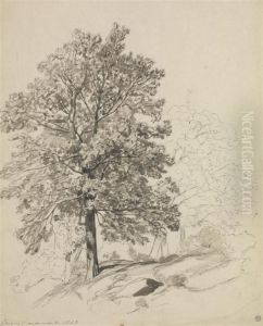 Etudes D'arbres Dans Les Gorges D'apremont by Auguste-Paul-Charles Anastasi