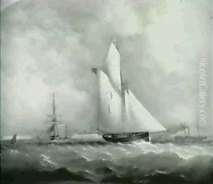 Bristol Harbor