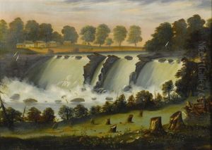 The Gennesee Falls At Rochester, N.y.