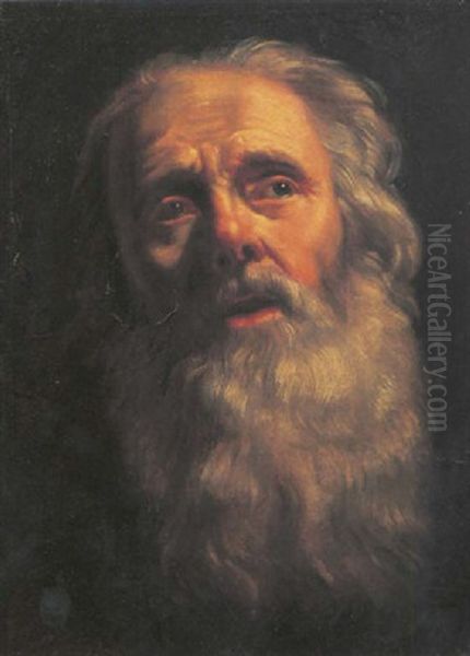 The Head Of A Bearded Old Man - view 1