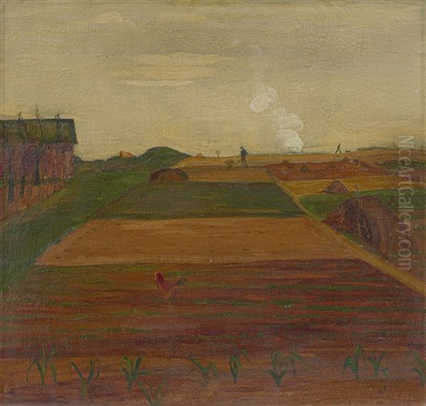 Felder - view 1