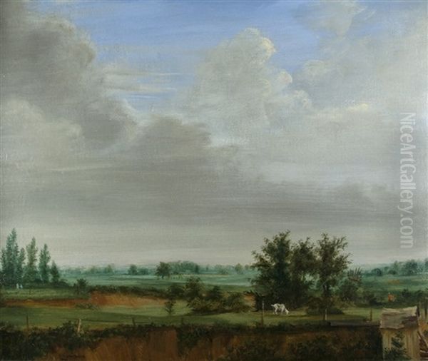 Weite Niederrheinlandschaft - view 1