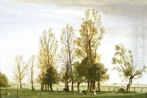 Auf Der Weide Auf Der Weide