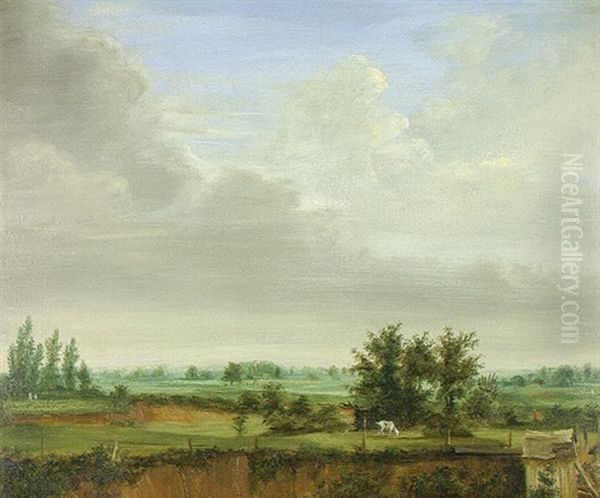 Niederrheinische Landschaft Im Sommer - view 1