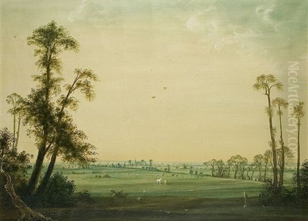 Niederrheinische Landschaft - view 1