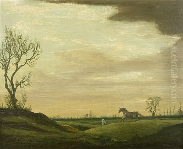 Pferd In Den Wiesen - view 1