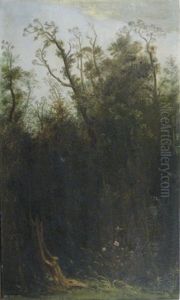Urwald Urwald