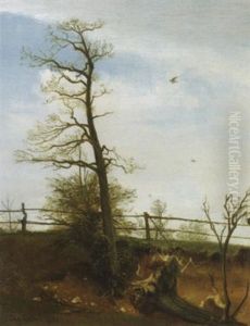 Der Entwurzelte Baum