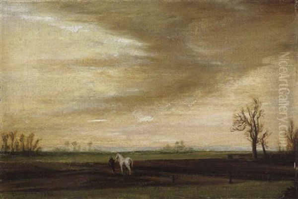 Niederrheinische Landschaft - view 1