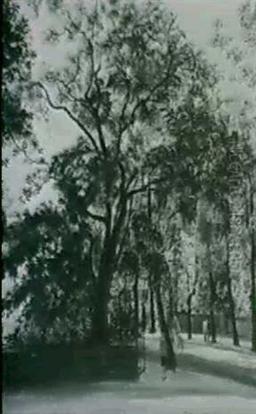 Akazienallee. 1931 - view 1