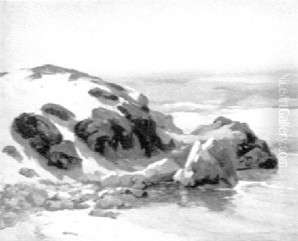 Coastal Scene - view 1