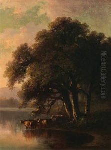 Evening Along The Saco River
