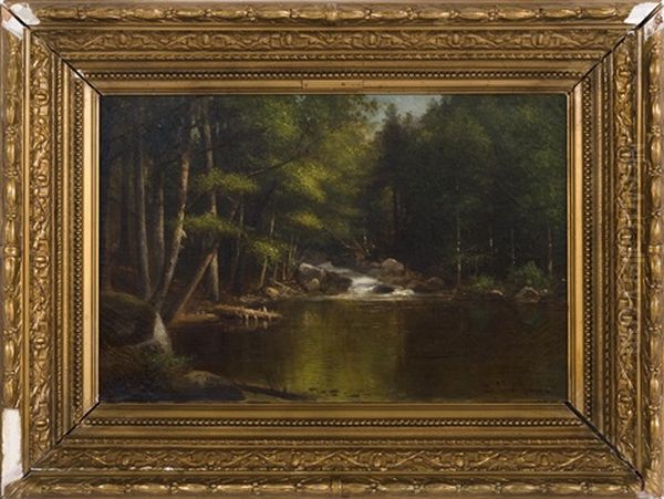 Forest Pool - view 1