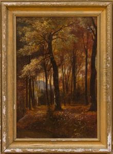 Stand Of Trees