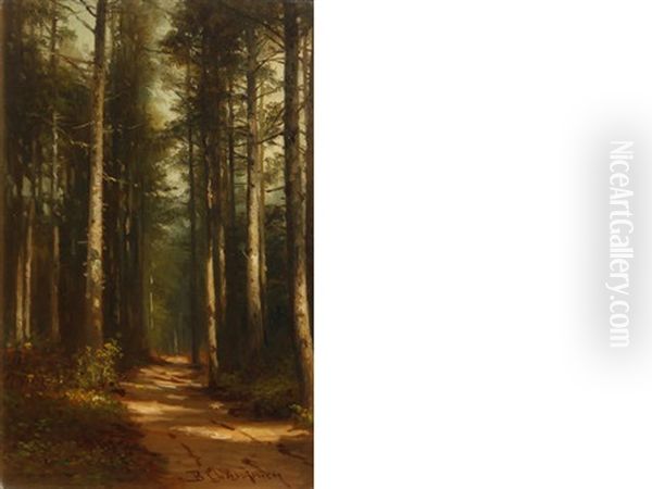 Path Through The Forest - view 1