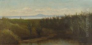 Marsh Landscape Marsh Landscape