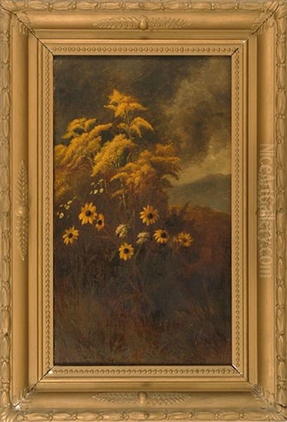 Mountain Wildflowers - view 1
