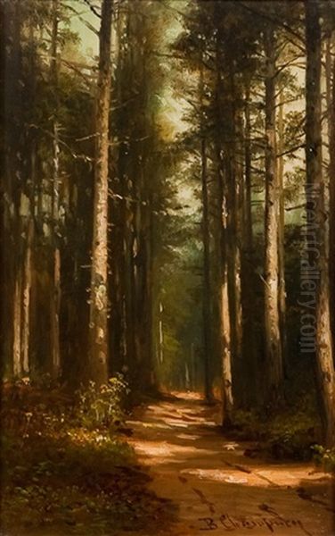 The Sunlit Path - view 1
