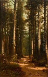 The Sunlit Path