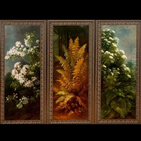 Laurel, Fern & Elderberry (3 Works) - view 1